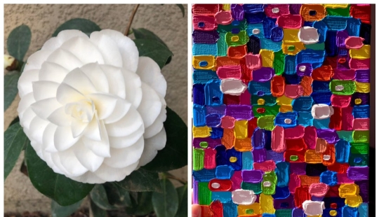 22 pruebas de que la naturaleza es el artista más talentoso