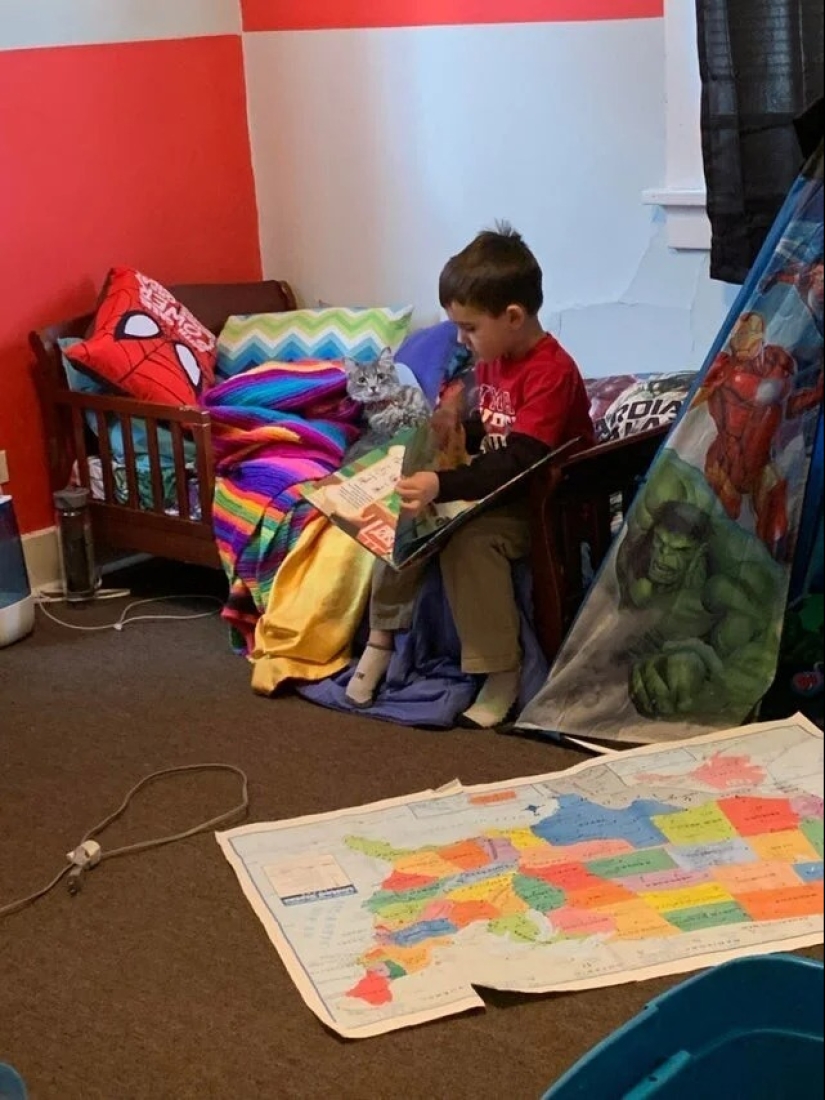 22 pruebas de que ningún niño debería crecer sin una mascota 22 pruebas de que ningún niño debería crecer sin una mascota