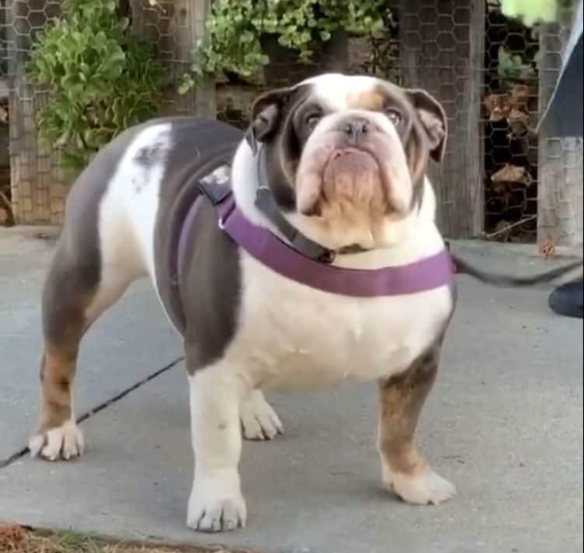 22 pruebas irrefutables de que el tamaño importa