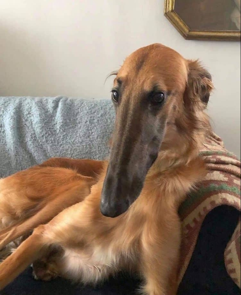 22 pruebas irrefutables de que el tamaño importa