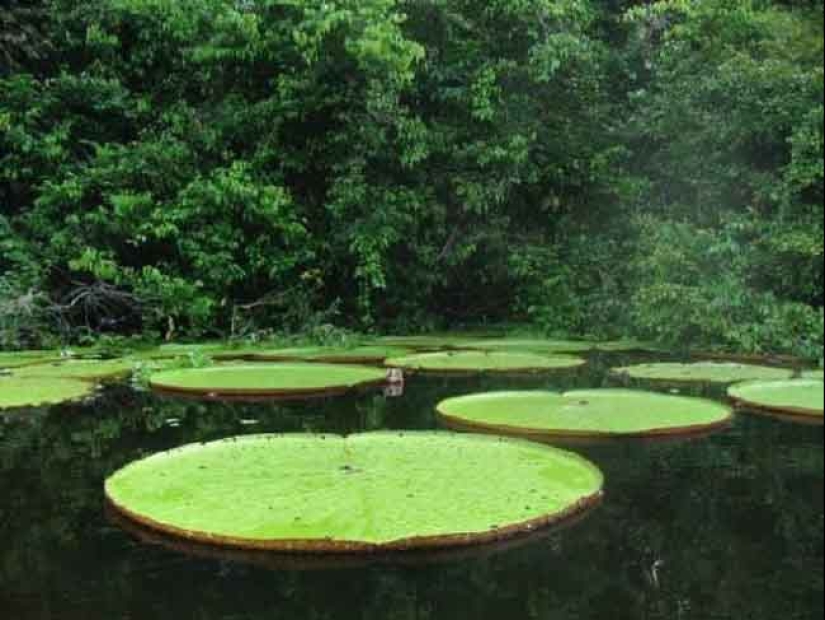 22 pruebas irrefutables de que el tamaño importa