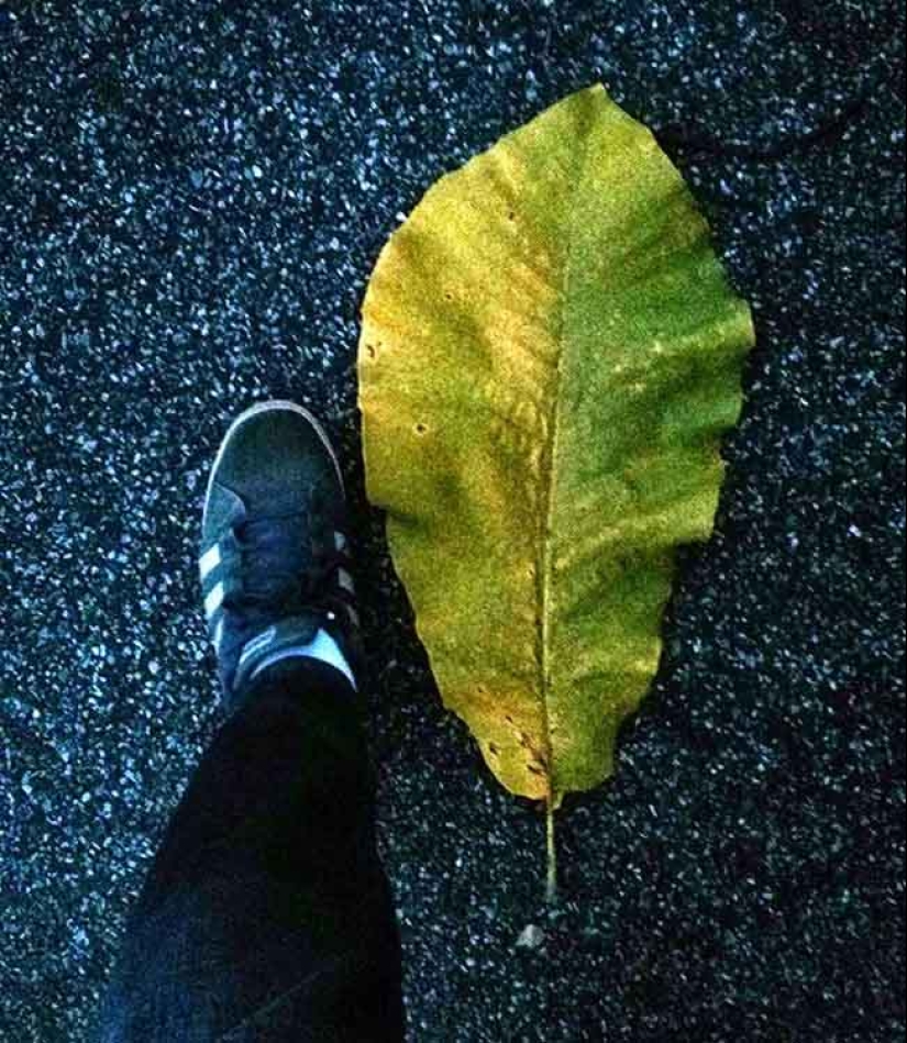 22 pruebas irrefutables de que el tamaño importa