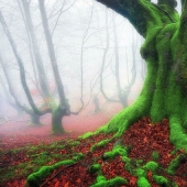 22 real photos that look like stills from movies or screenshots from video games 22 real photos that look like stills from movies or screenshots from video games