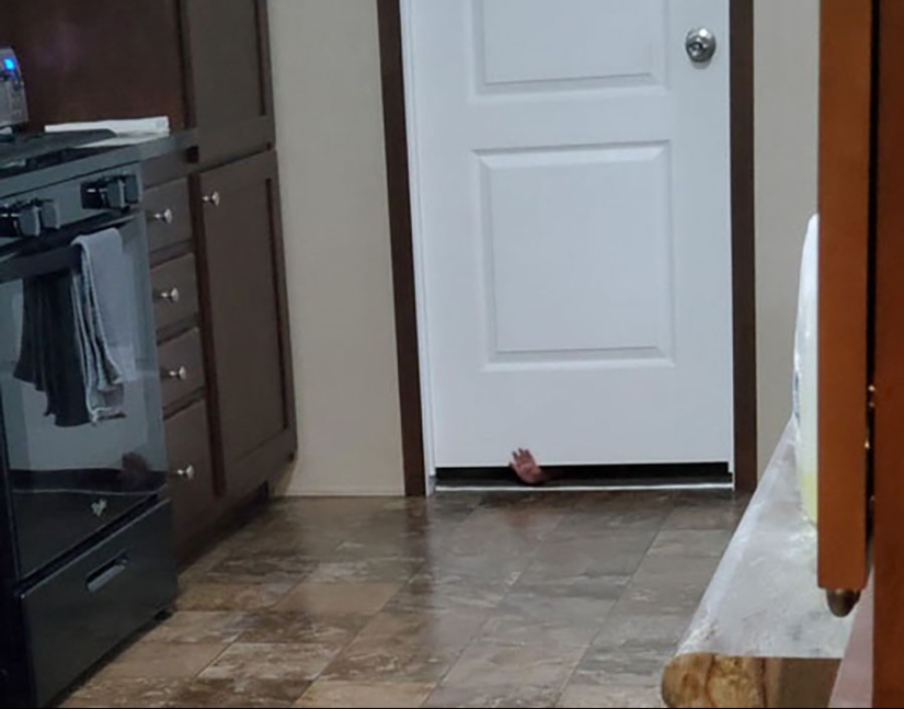 22 reasons to stock up on sedatives if there are children in the house 22 reasons to stock up on sedatives if there are children in the house