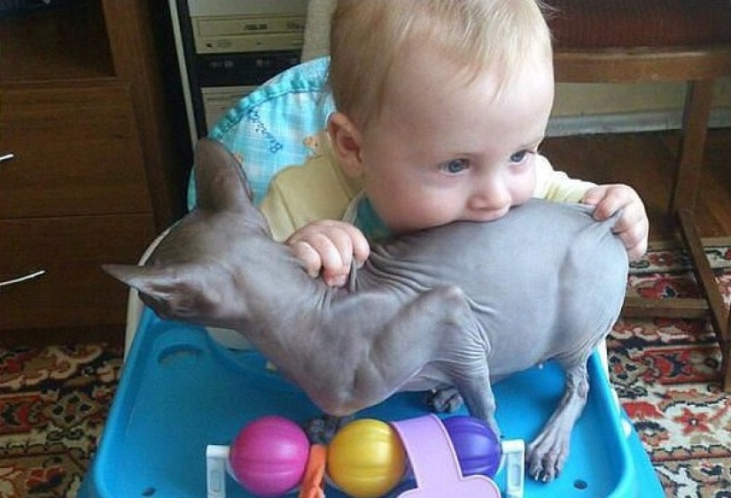 22 reasons to stock up on sedatives if there are children in the house 22 reasons to stock up on sedatives if there are children in the house