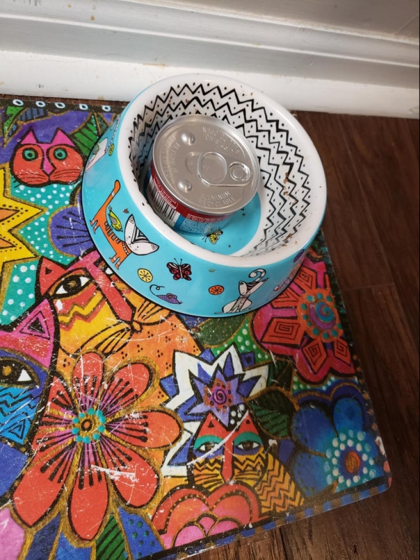 22 reasons to stock up on sedatives if there are children in the house 22 reasons to stock up on sedatives if there are children in the house