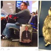 22 strange moments that you don't expect to see at the airport 22 strange moments that you don't expect to see at the airport