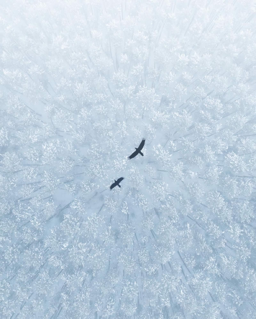 22 Striking Wildlife Photos That Will Leave You in Awe of Nature 22 Striking Wildlife Photos That Will Leave You in Awe of Nature