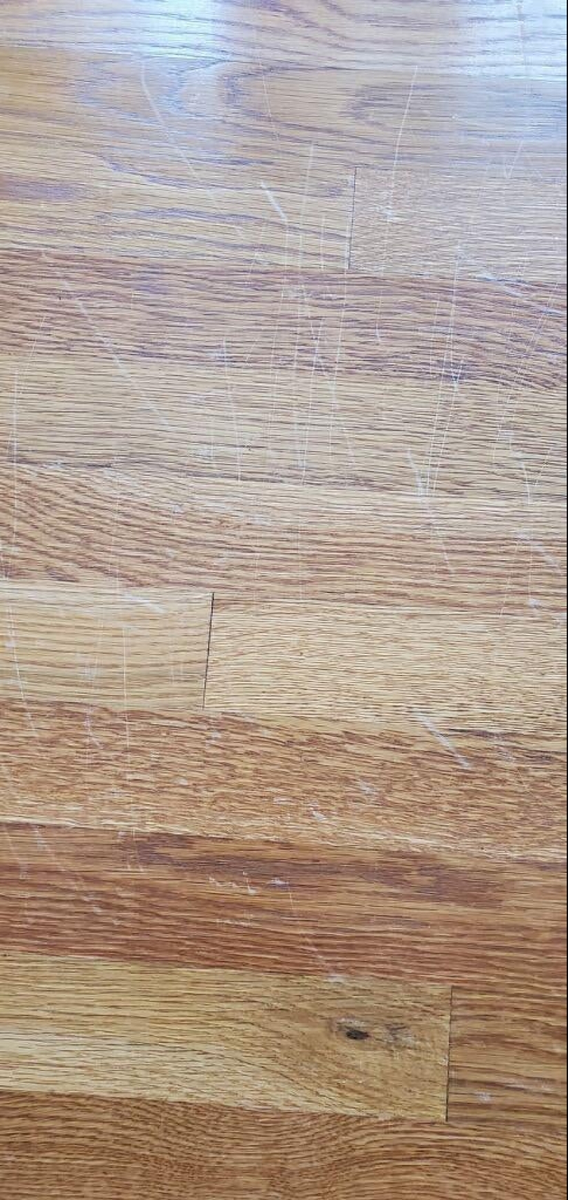 22 the craziest situations faced by apartment tenants