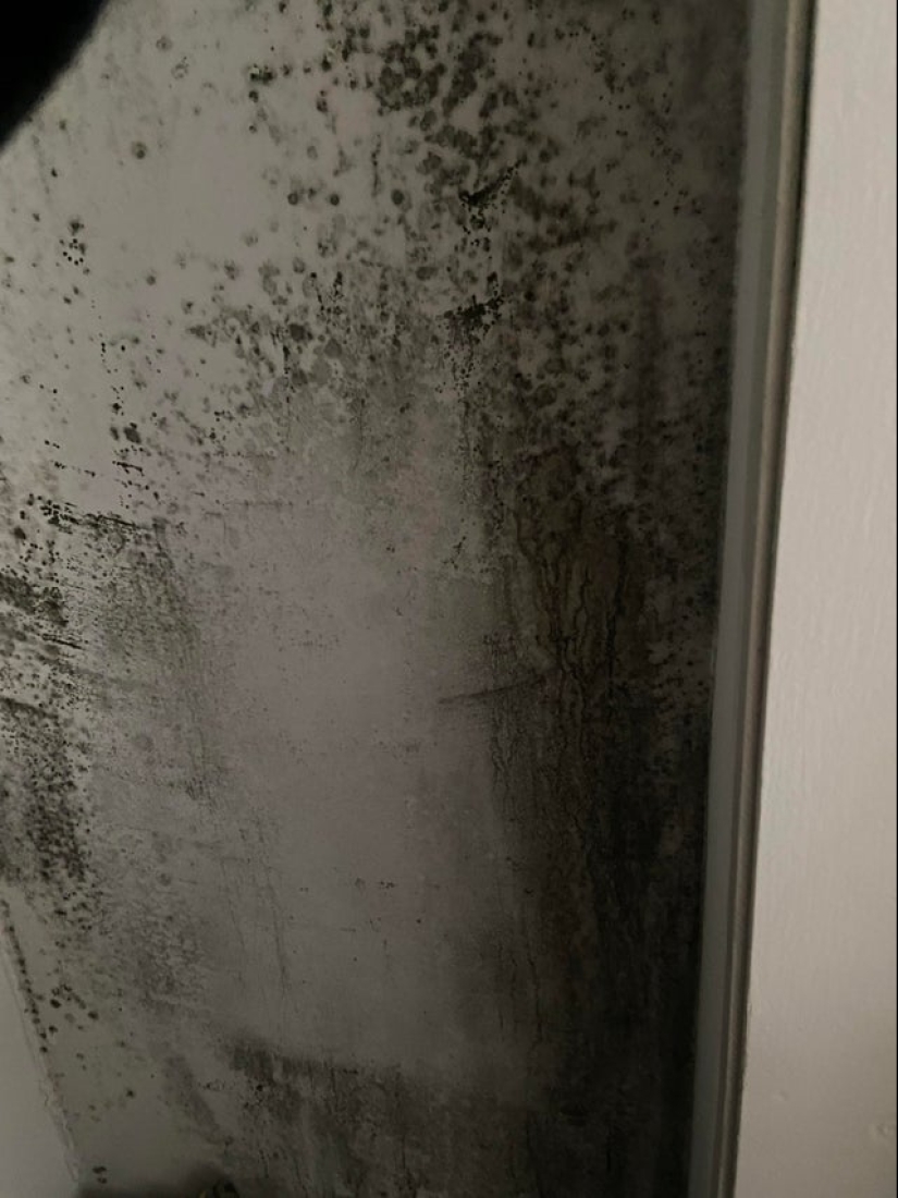 22 the craziest situations faced by apartment tenants