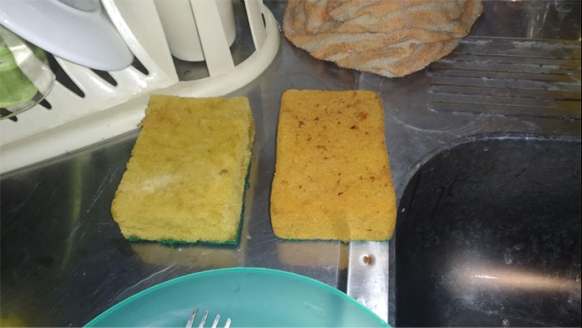 22 the craziest situations faced by apartment tenants