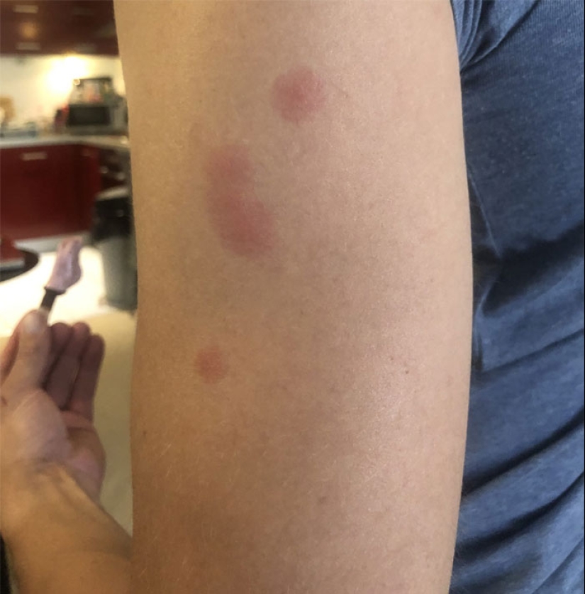 22 the craziest situations faced by apartment tenants