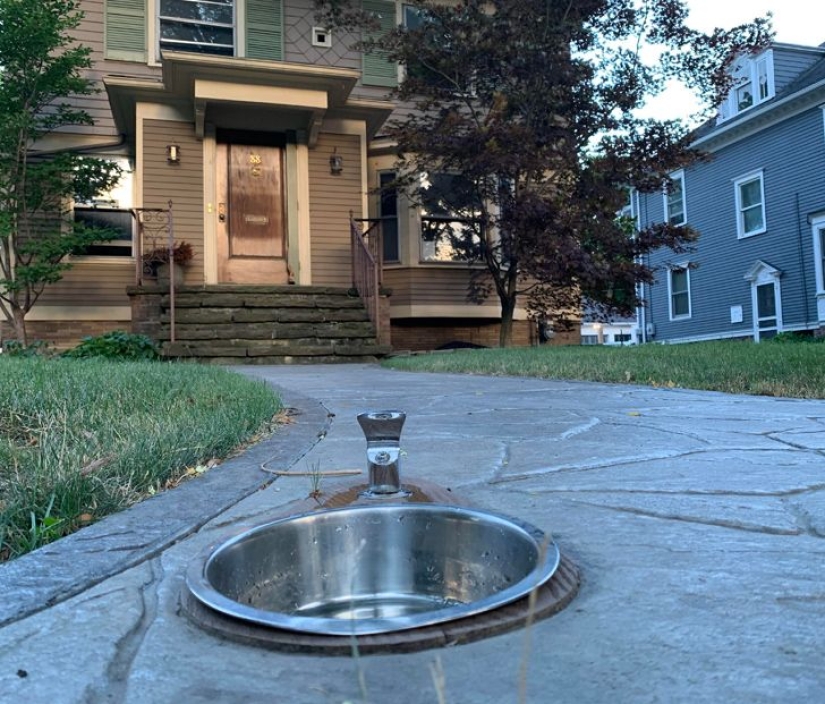 22 things whose usefulness is beyond doubt