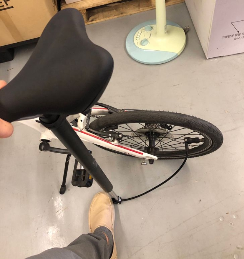 22 things whose usefulness is beyond doubt