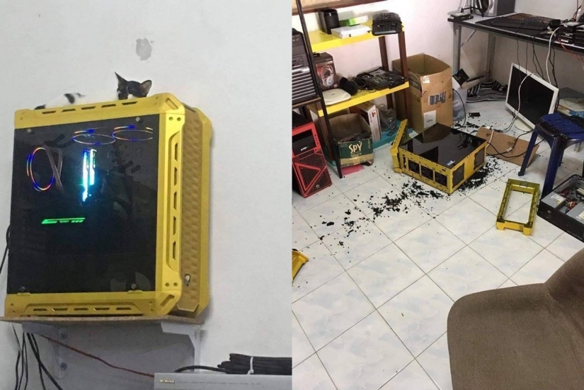 22 troubles that happened at the most unexpected moment