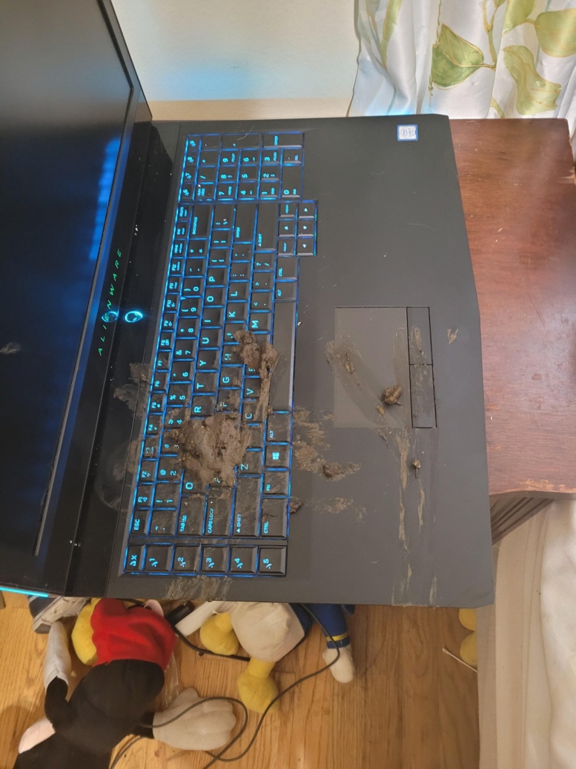 22 troubles that happened at the most unexpected moment