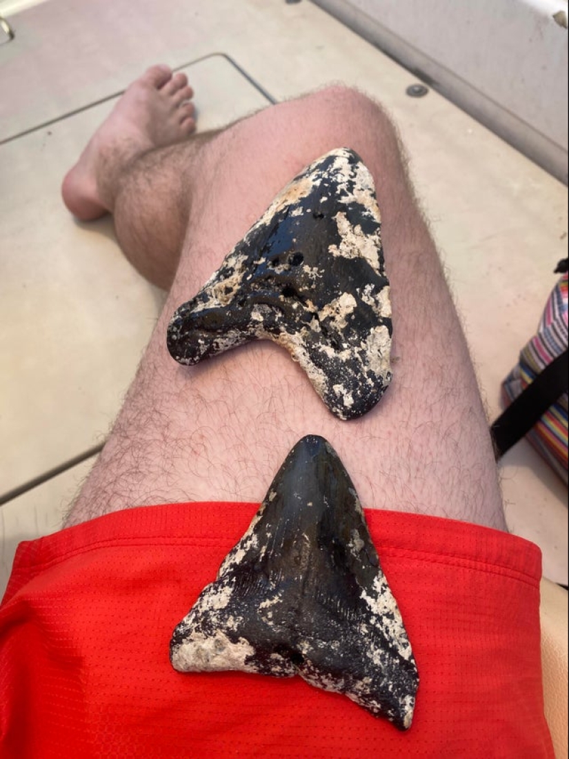 22 unexpected discoveries shared by netizens