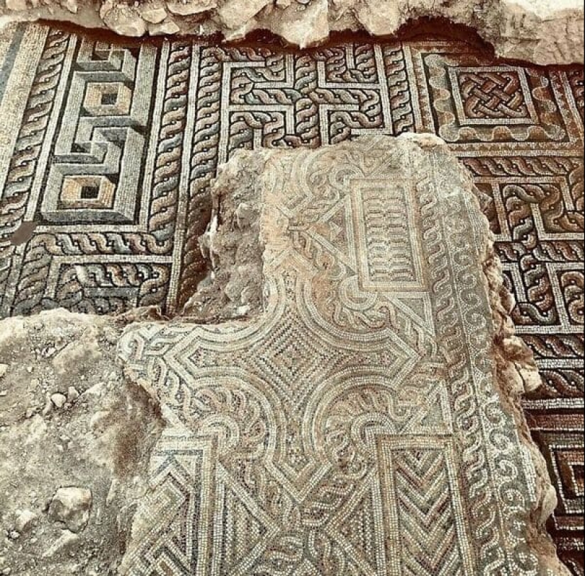 22 unexpected discoveries shared by netizens