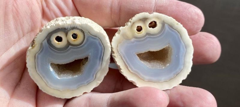 22 unexpected discoveries shared by netizens