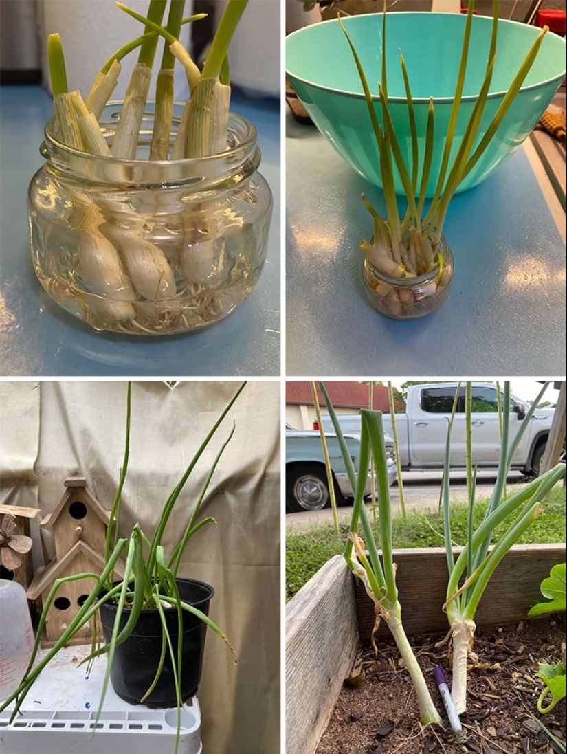 22 unusual ways to save money shared by netizens