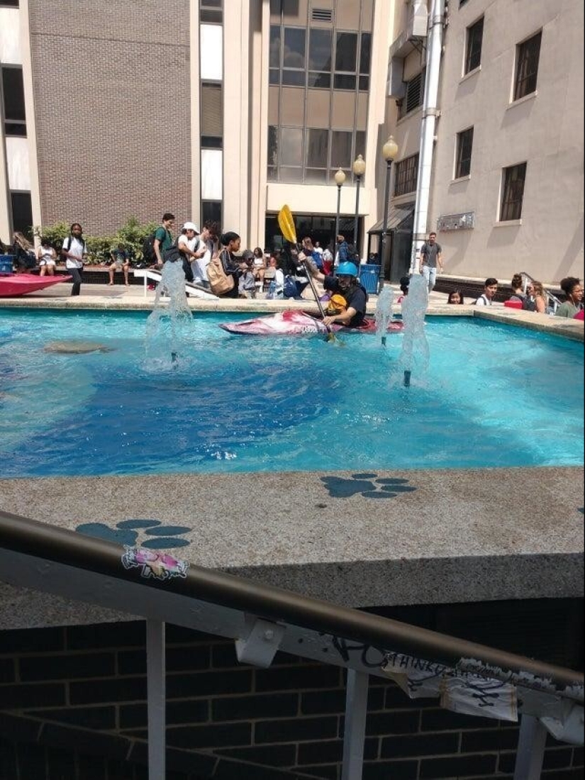 22 wonderful example of the apathy level 80