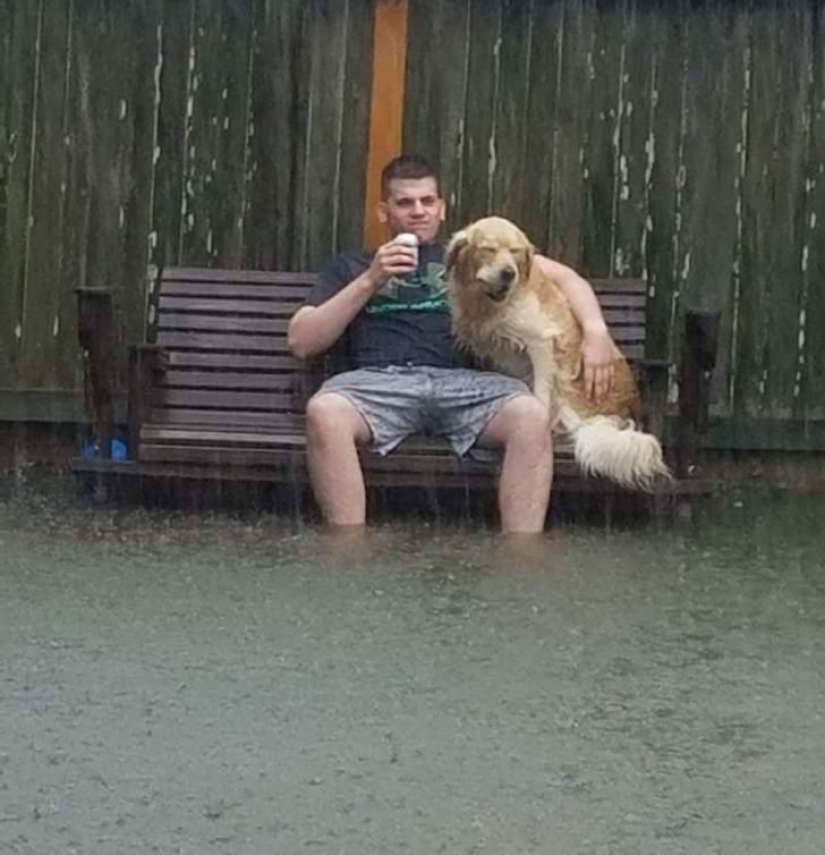 22 wonderful example of the apathy level 80