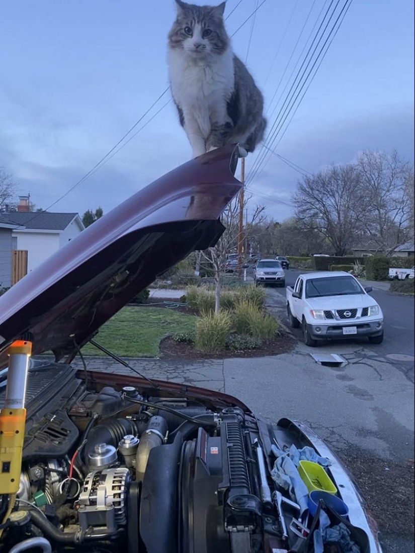 22 wonderful example of the apathy level 80