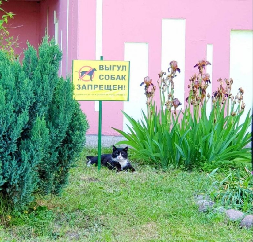 22 wonderful example of the apathy level 80