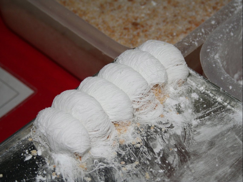 23 deliciously delicious dishes to try in China 23 deliciously delicious dishes to try in China