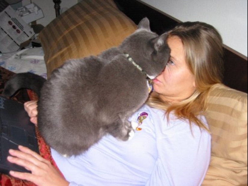 23 fotos de mascotas que literalmente se sentaron en la cabeza de los propietarios 23 fotos de mascotas que literalmente se sentaron en la cabeza de los propietarios