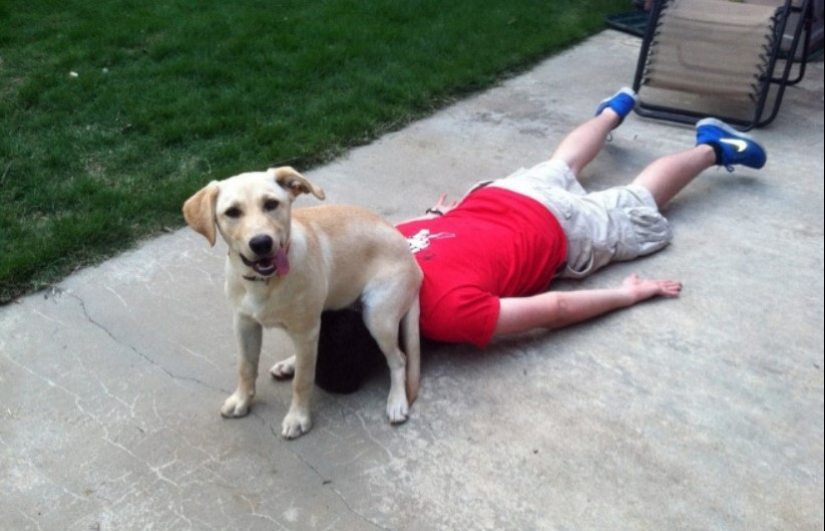 23 photos of pets that literally sat on the owners ' heads 23 photos of pets that literally sat on the owners ' heads