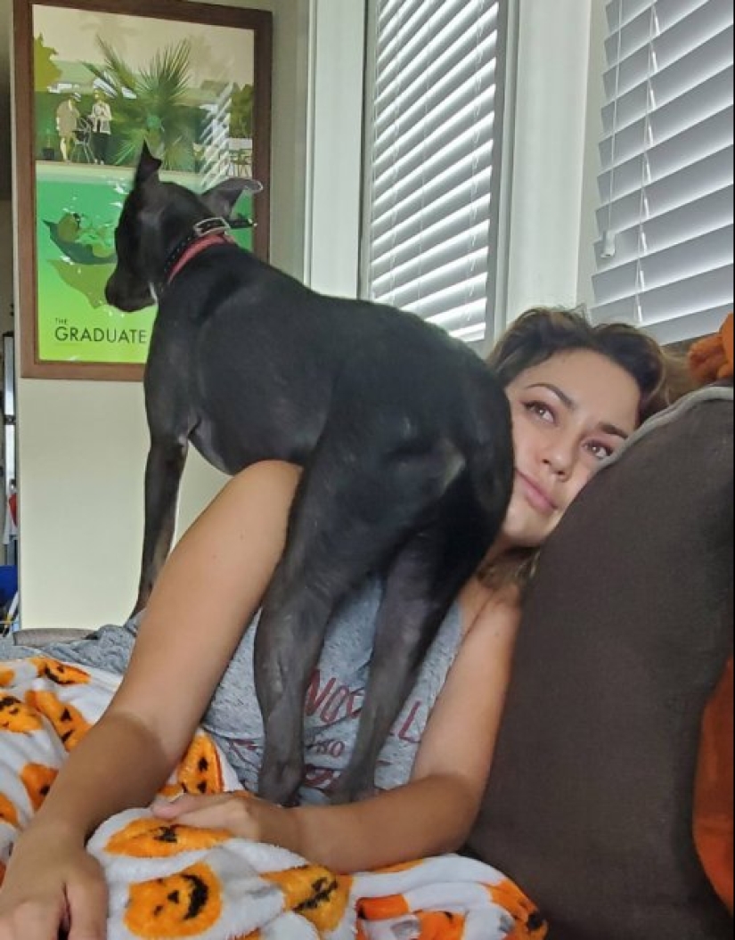 23 photos of pets that literally sat on the owners ' heads 23 photos of pets that literally sat on the owners ' heads