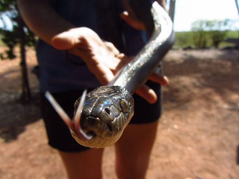 23 pictures taken a second before the inevitable 23 pictures taken a second before the inevitable