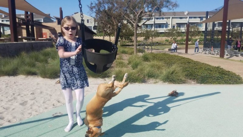 23 pictures taken a second before the inevitable 23 pictures taken a second before the inevitable