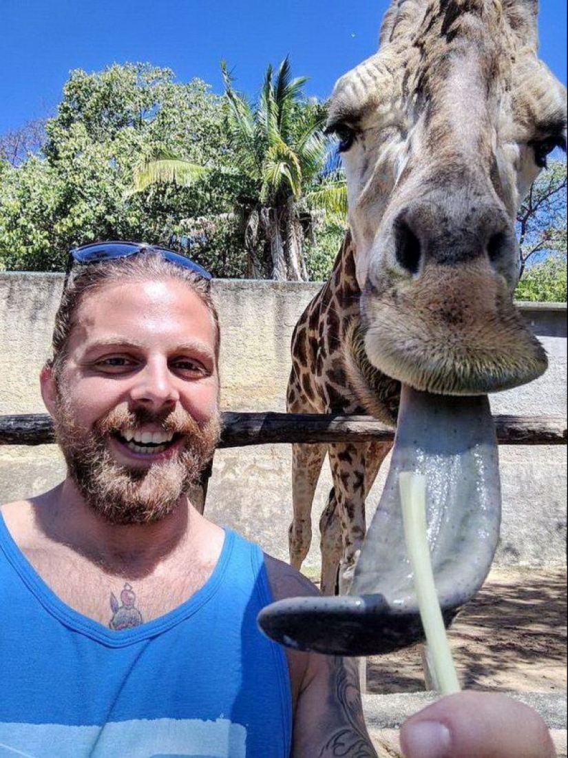 23 pictures taken a second before the inevitable 23 pictures taken a second before the inevitable