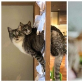 23 positive pictures that will make your day a little better 23 positive pictures that will make your day a little better