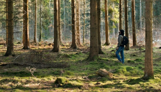 23 unknown facts about our world that will make you think