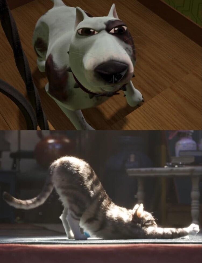 24 foto demostrando que nuestro mundo es un lugar maravilloso