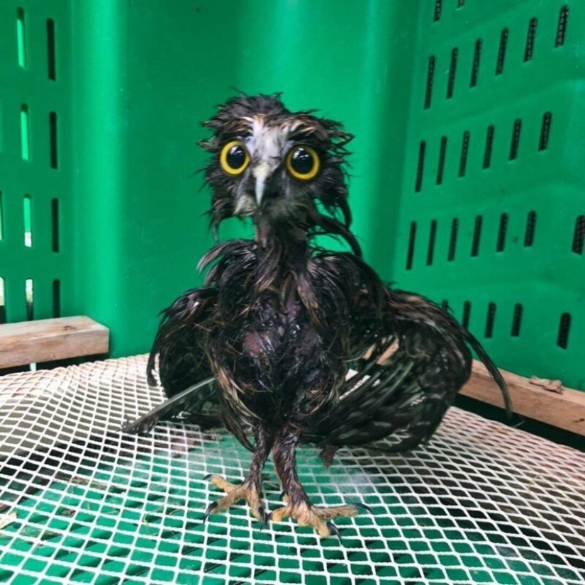 24 foto demostrando que nuestro mundo es un lugar maravilloso