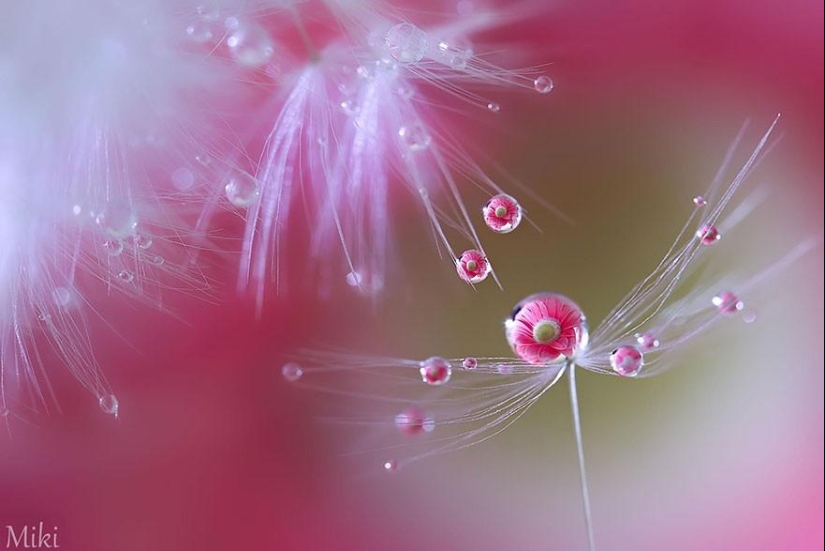 24 reflexiones sorprendentes