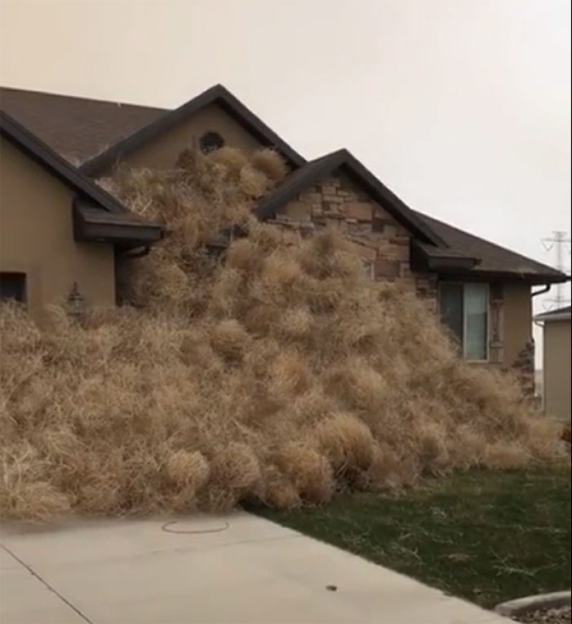 24 times nature forced people to say "well, this sucks"
