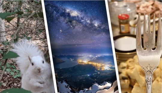 24 unreal photos of amazing things