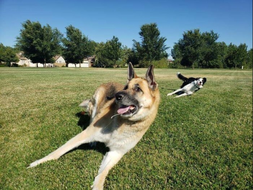 25 amazing photos taken at the right moment 25 amazing photos taken at the right moment