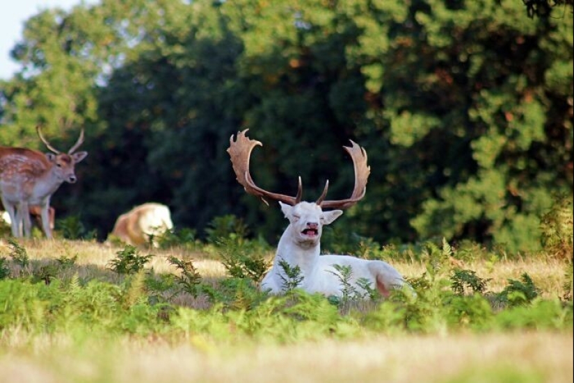 25 amazing photos taken at the right moment 25 amazing photos taken at the right moment