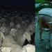 25 animals that look like they want to take over the world 25 animals that look like they want to take over the world