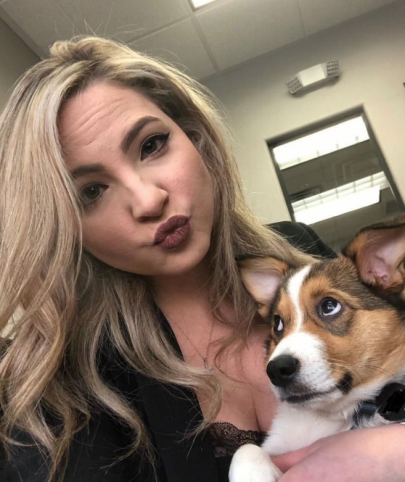 25 Corgi who is very dissatisfied with the behavior of their hosts 25 Corgi who is very dissatisfied with the behavior of their hosts