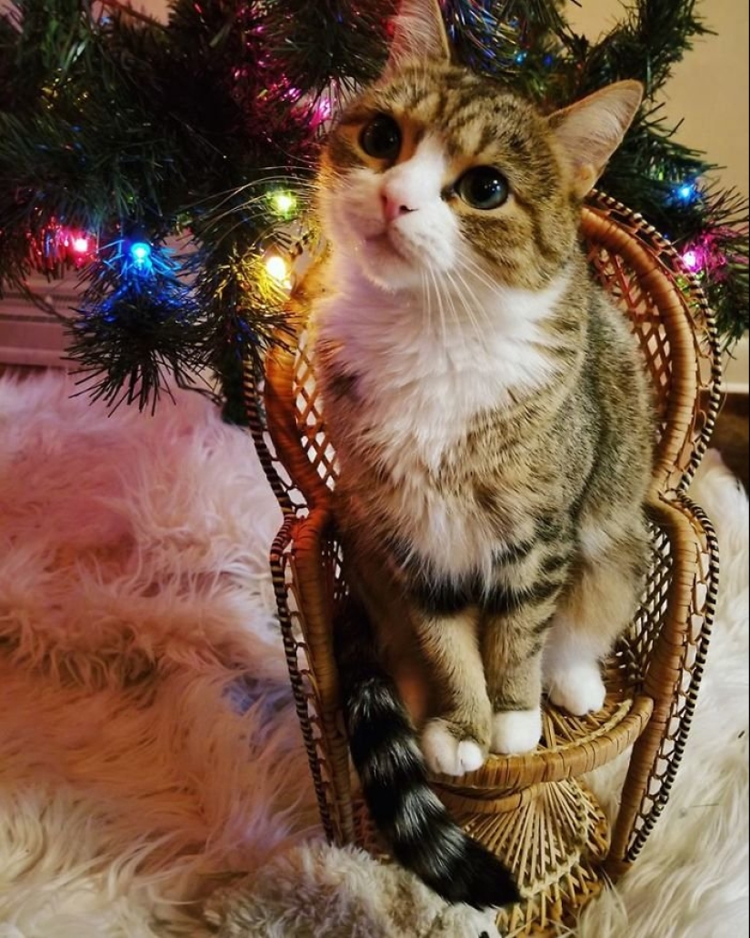 25 cosas inusuales compradas en mercados de pulgas y tiendas de segunda mano 25 cosas inusuales compradas en mercados de pulgas y tiendas de segunda mano