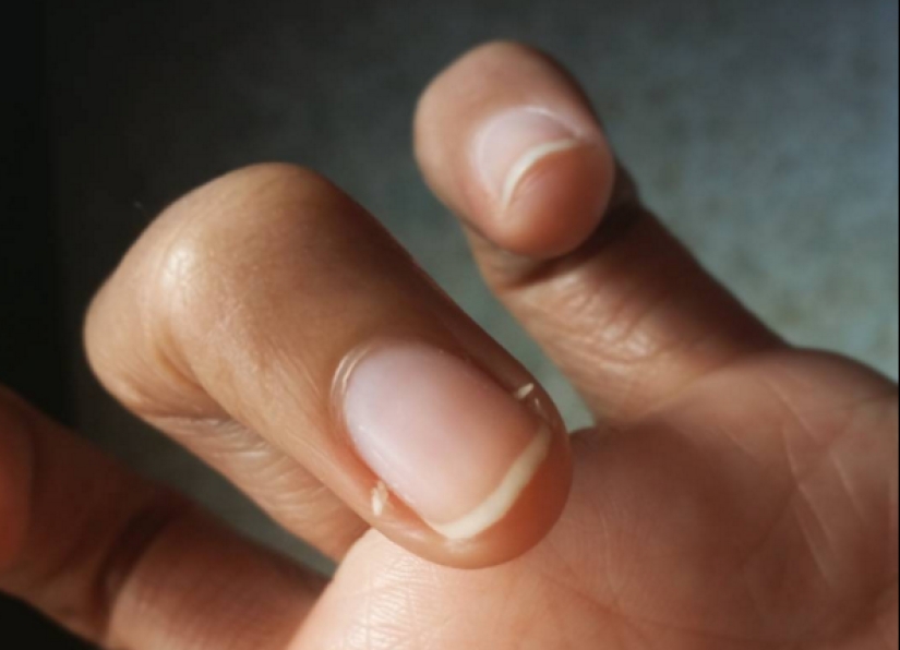 25 cosas molestas que pueden molestar incluso a la persona más tranquila 25 cosas molestas que pueden molestar incluso a la persona más tranquila