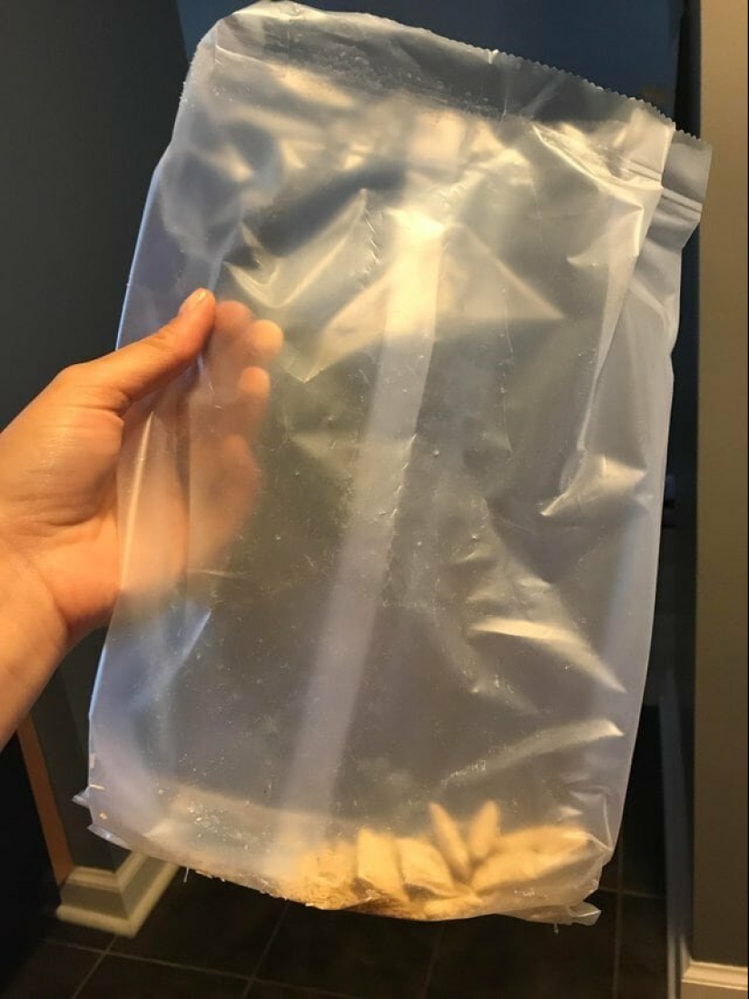 25 cosas molestas que pueden molestar incluso a la persona más tranquila 25 cosas molestas que pueden molestar incluso a la persona más tranquila