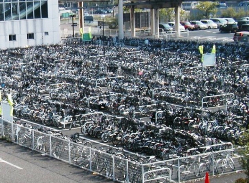 25 crazy that you can only find in Japan